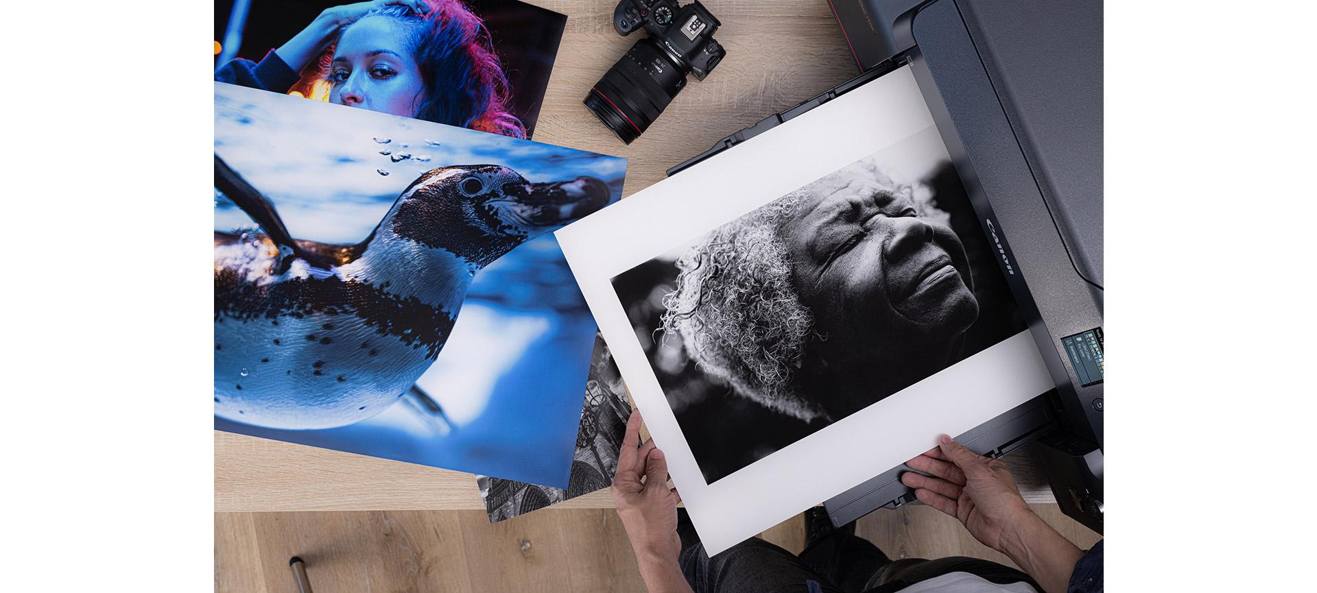 Full-colour photos printed using a Canon PIXMA PRO Series printer.