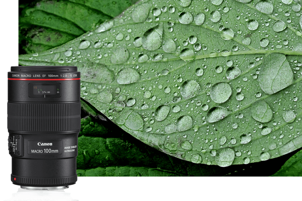 canon lens specifications