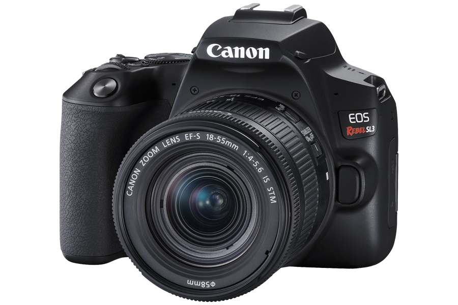 Mirrorless vs DSLR Cameras Pros, Cons, and Tips Canon Canada