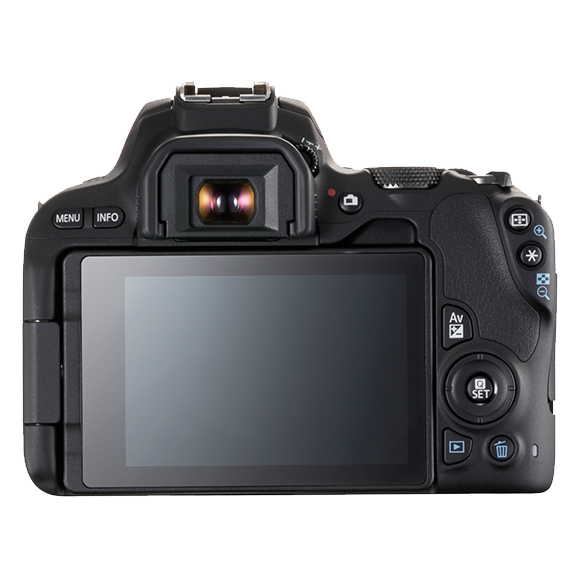 Canon EOS Rebel SL2 | Entry Level DSLR Camera