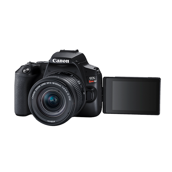 Canon EOS Rebel SL3 | Entry Level DSLR Camera