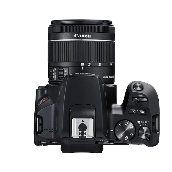 Canon EOS Rebel SL3 | Entry Level DSLR Camera
