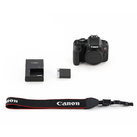 Canon EOS Rebel T7i | Entry Level DSLR Camera