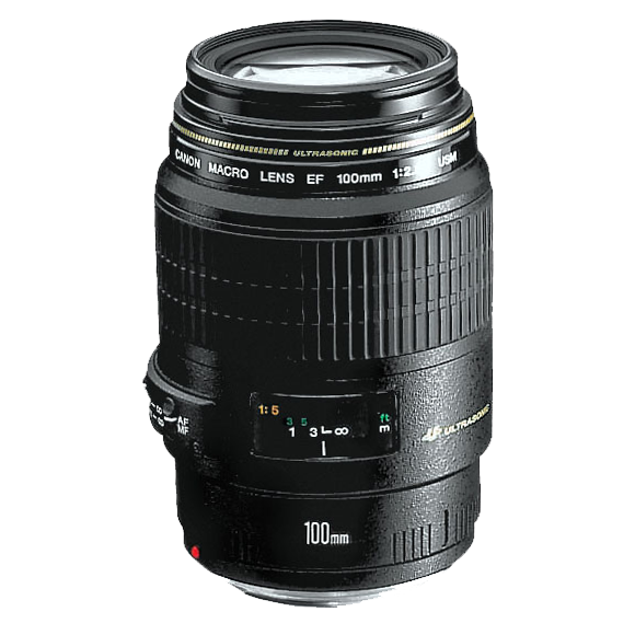 Canon EF 100mm f/2.8 Macro USM | Macro Lens