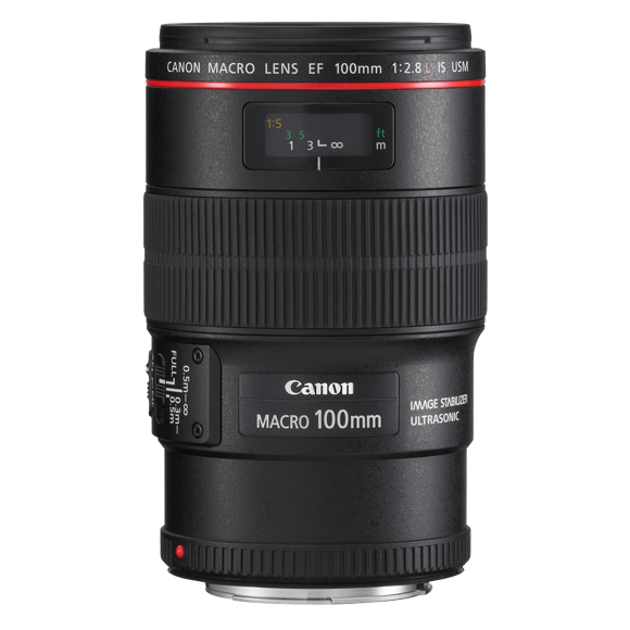 Canon EF 100mm f/2.8L Macro IS USM | Macro Lens