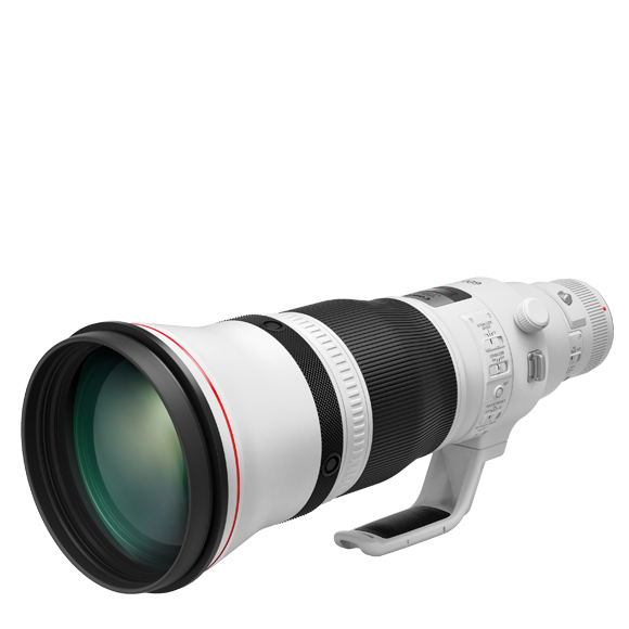 Canon EF 600mm f/4 IS III USM | Super Telephoto Lens