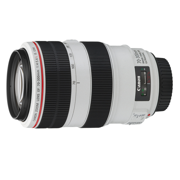 Canon EF 70-300mm F/4-5.6 IS II USM Lens Review (by TDP