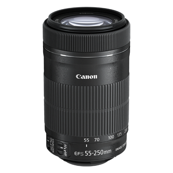 Canon EF-S 55-250mm f/4-5.6 IS STM | Telephoto Zoom Lens