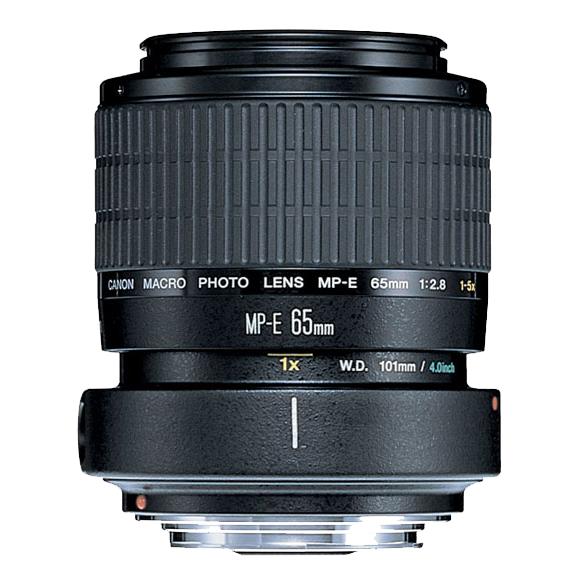 Canon MP-E 65mm f/2.8 1-5x Macro Photo | Macro Lens