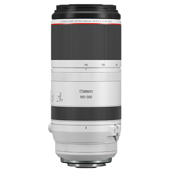 m　Canon RF100-500㎜ RF100-500mm F4.5-7.1 L IS USM | RF Lens